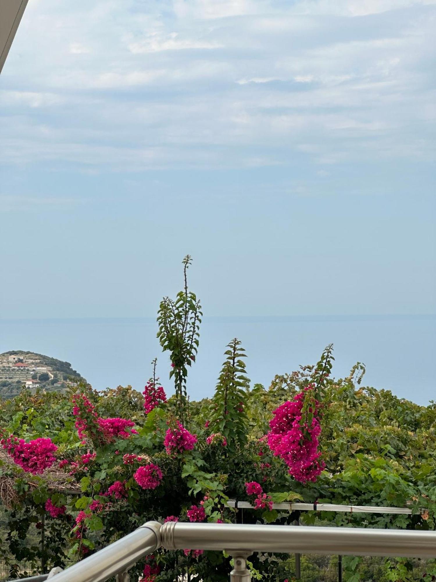 Elea Guesthouse ヒマラ エクステリア 写真
