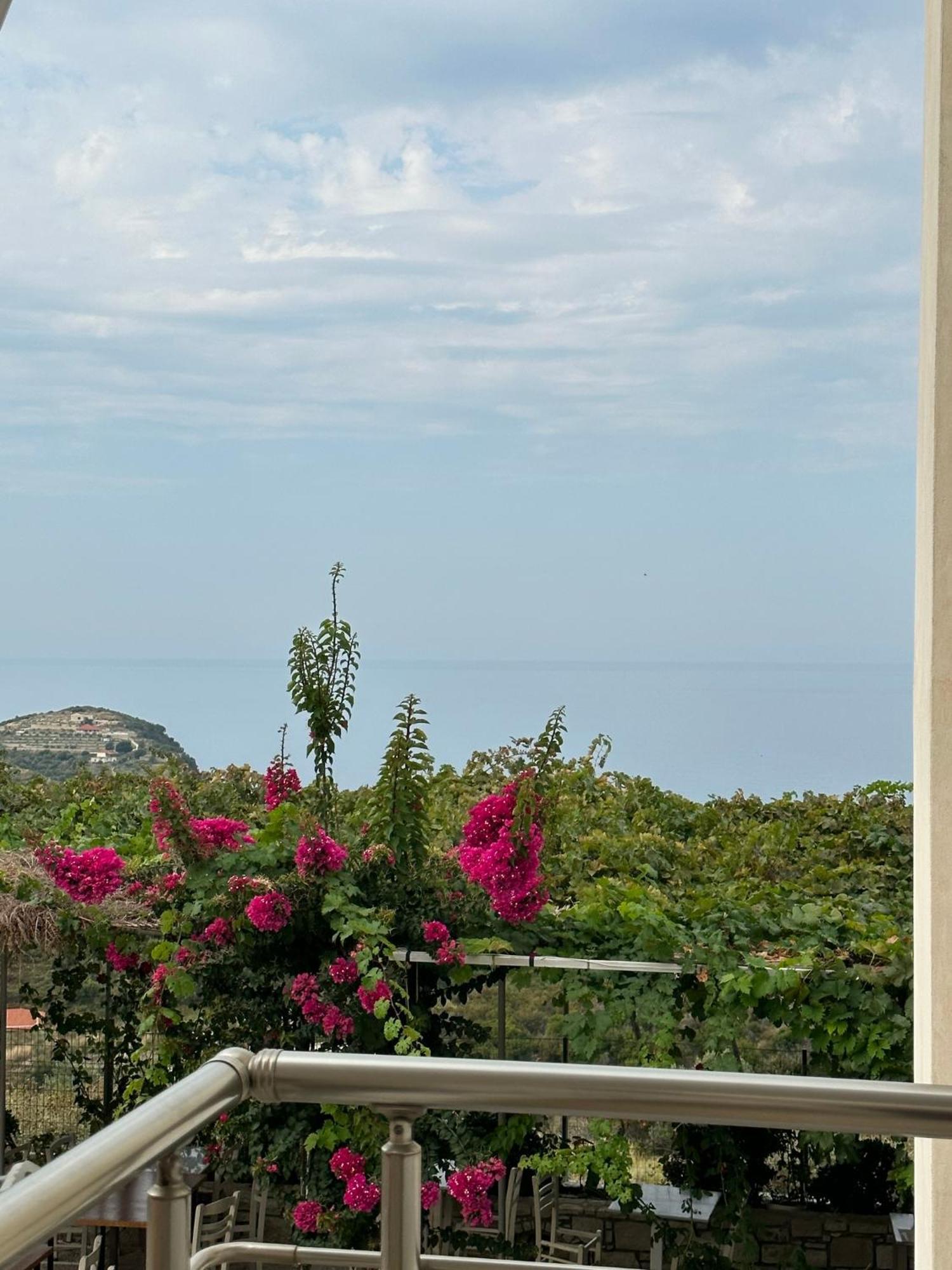 Elea Guesthouse ヒマラ エクステリア 写真