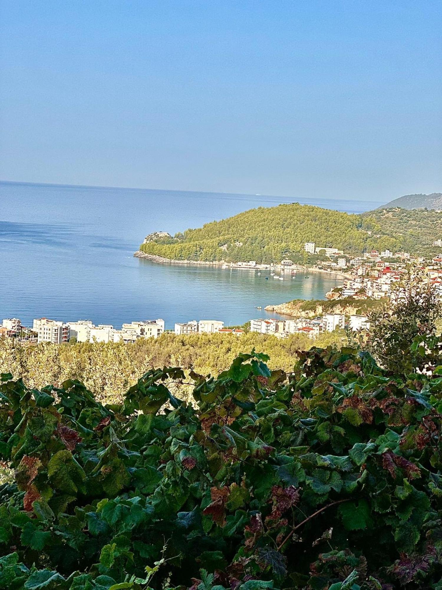 Elea Guesthouse ヒマラ エクステリア 写真