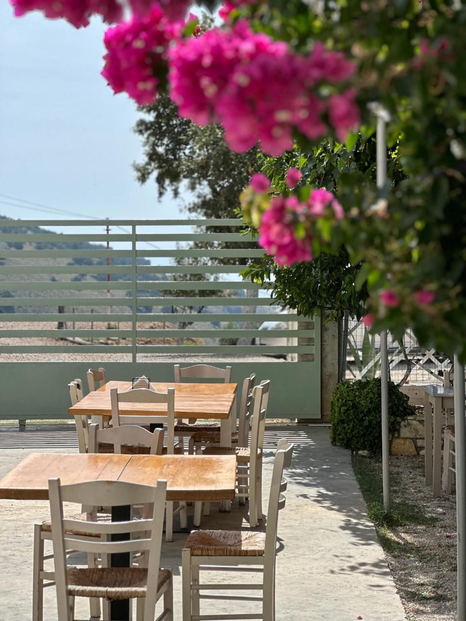 Elea Guesthouse ヒマラ エクステリア 写真