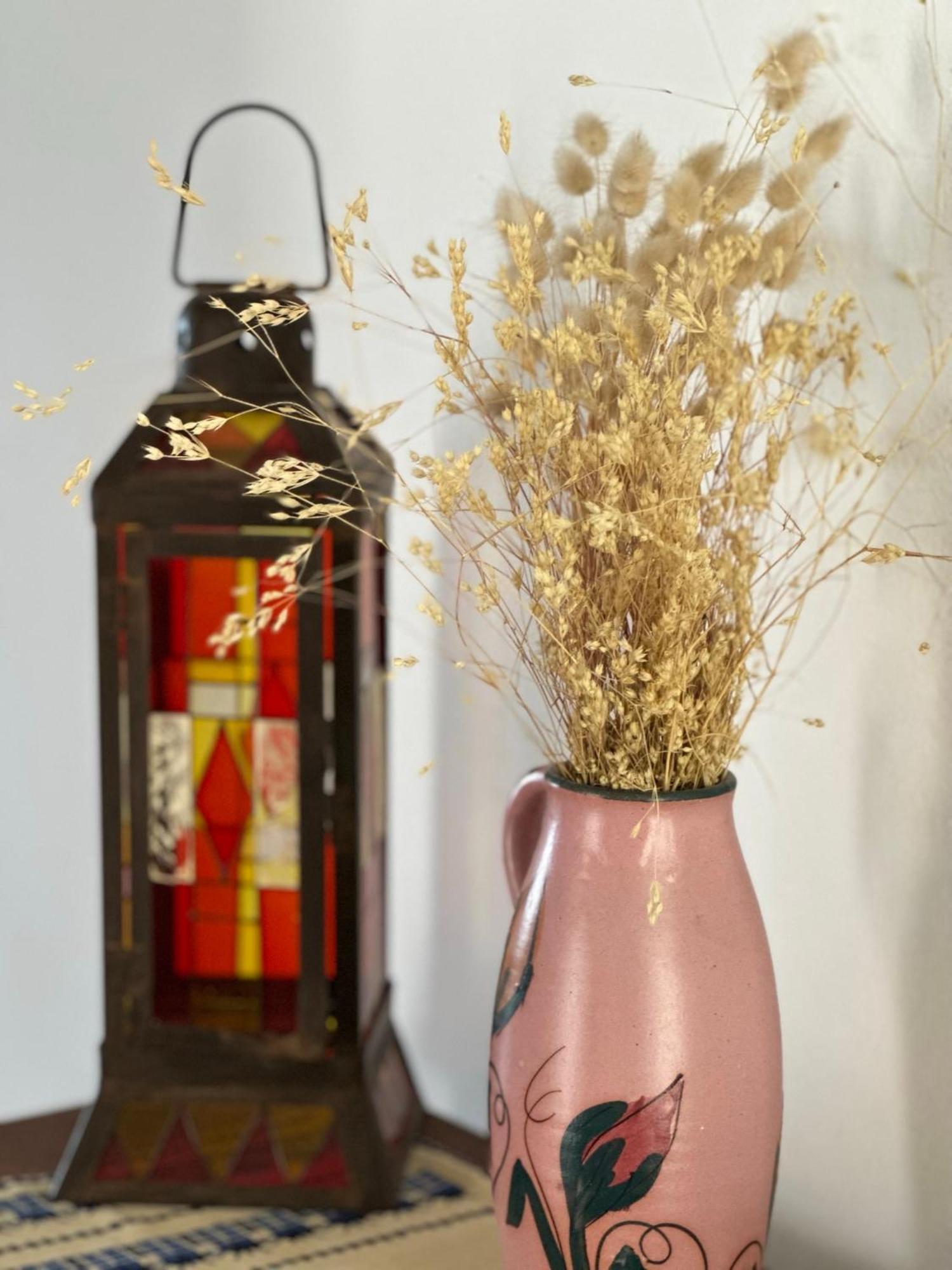 Elea Guesthouse ヒマラ エクステリア 写真