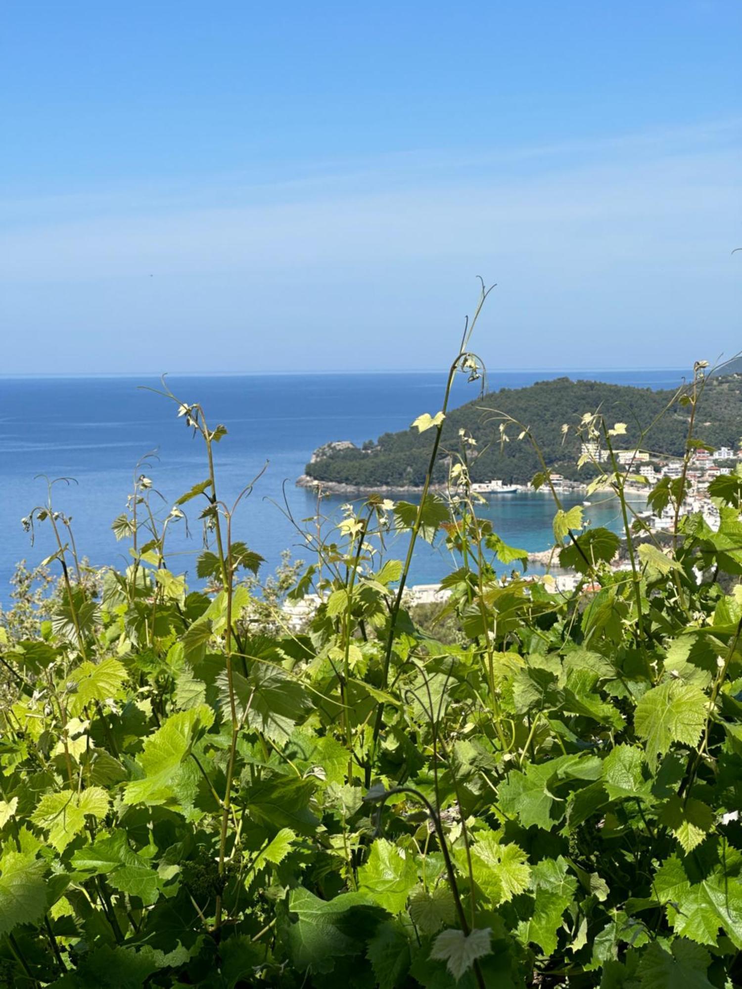 Elea Guesthouse ヒマラ エクステリア 写真